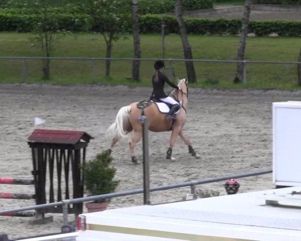 Reitturnier Kierspe-Hohenholten 2016