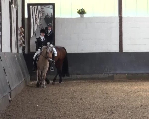 Reitturnier Kierspe-Hohenholten 2016
