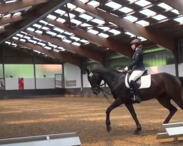 Reitturnier Kierspe-Hohenholten 2016