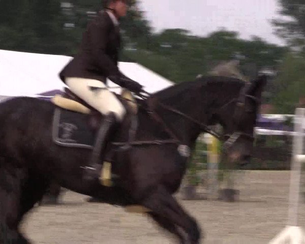 Reitturnier Bissendorf - Gut Stockum 2016
