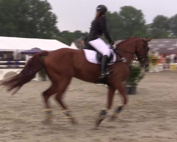 Reitturnier Bissendorf - Gut Stockum 2016
