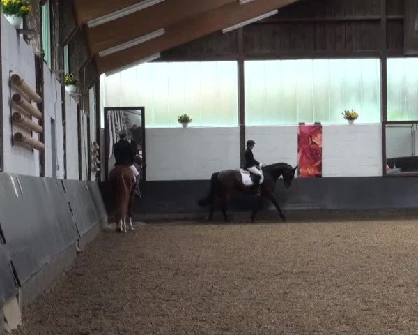 Reitturnier Kierspe-Hohenholten 2016
