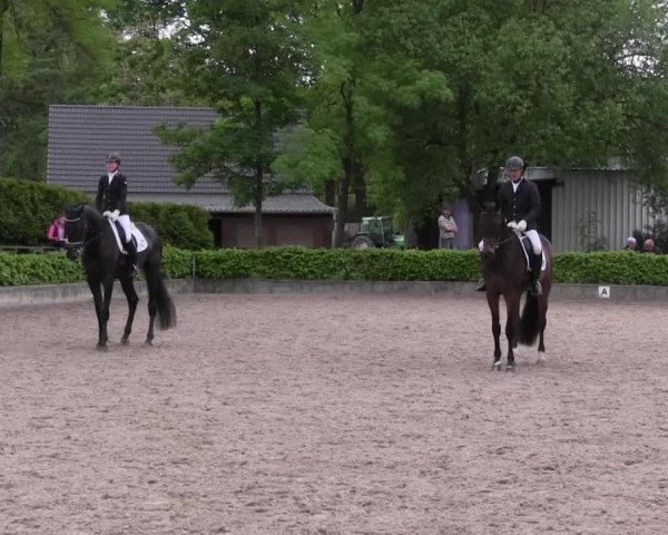 Reitturnier Kierspe-Hohenholten 2016