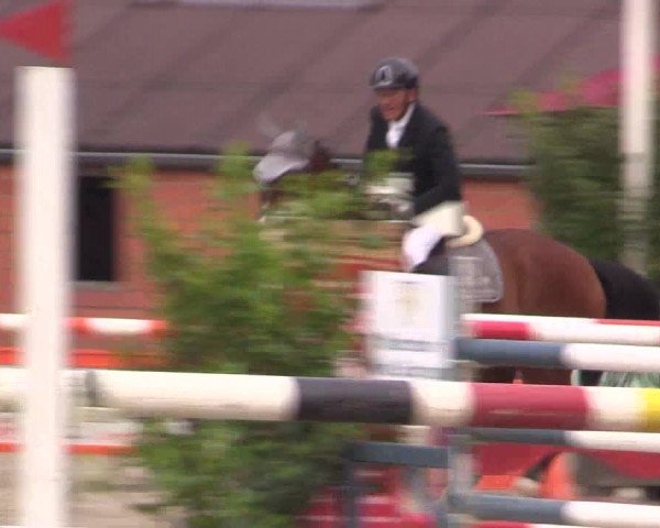 Reitturnier Bissendorf - Gut Stockum 2016