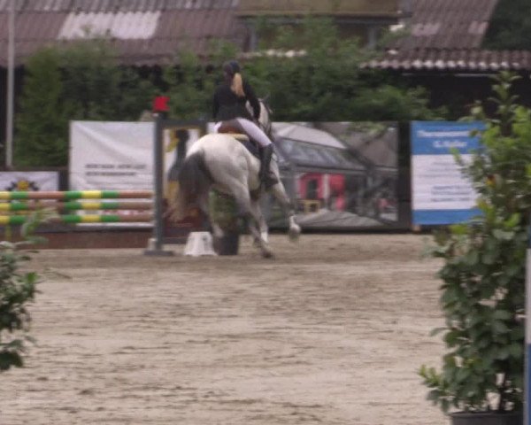 Reitturnier Bissendorf - Gut Stockum 2016