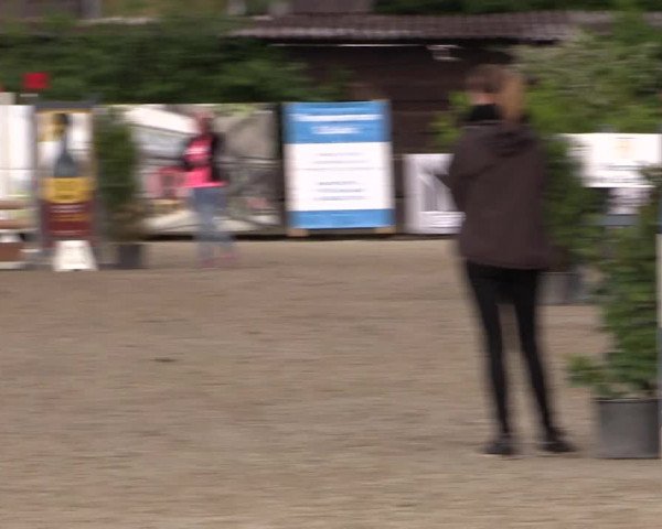 Reitturnier Bissendorf - Gut Stockum 2016