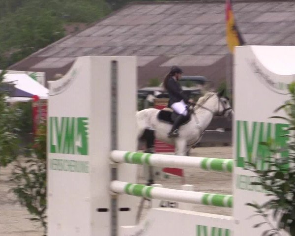 Reitturnier Bissendorf - Gut Stockum 2016