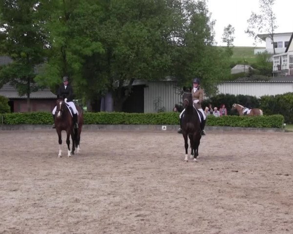 Reitturnier Kierspe-Hohenholten 2016