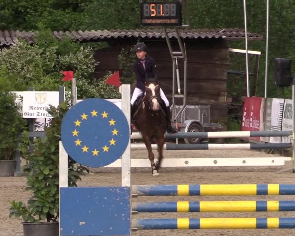 Reitturnier Bissendorf - Gut Stockum 2016