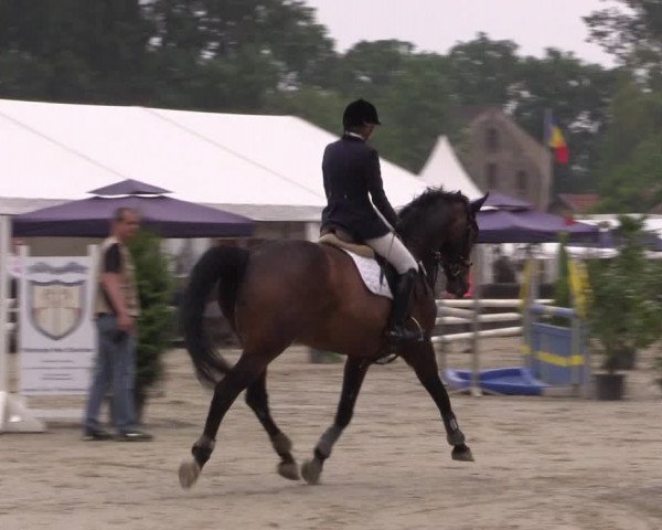 Reitturnier Bissendorf - Gut Stockum 2016