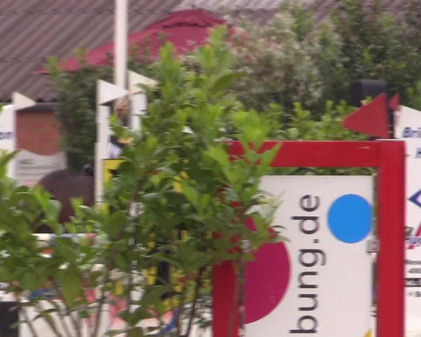 Reitturnier Bissendorf - Gut Stockum 2016