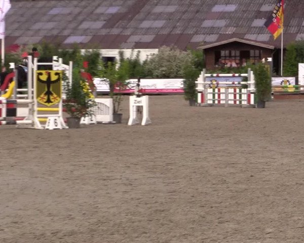 Reitturnier Bissendorf - Gut Stockum 2016