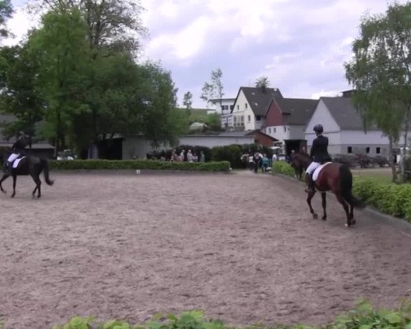 Reitturnier Kierspe-Hohenholten 2016