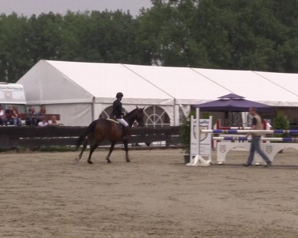 Reitturnier Bissendorf - Gut Stockum 2016
