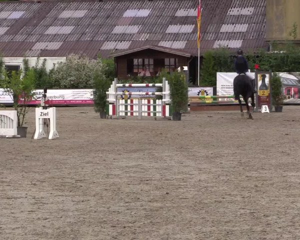 Reitturnier Bissendorf - Gut Stockum 2016