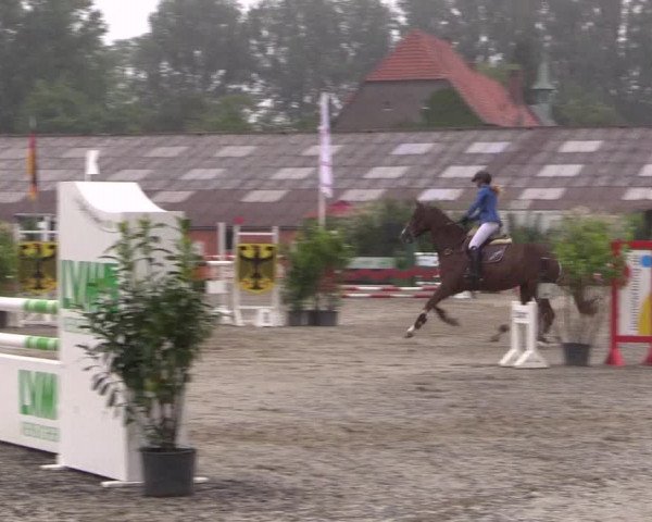 Reitturnier Bissendorf - Gut Stockum 2016