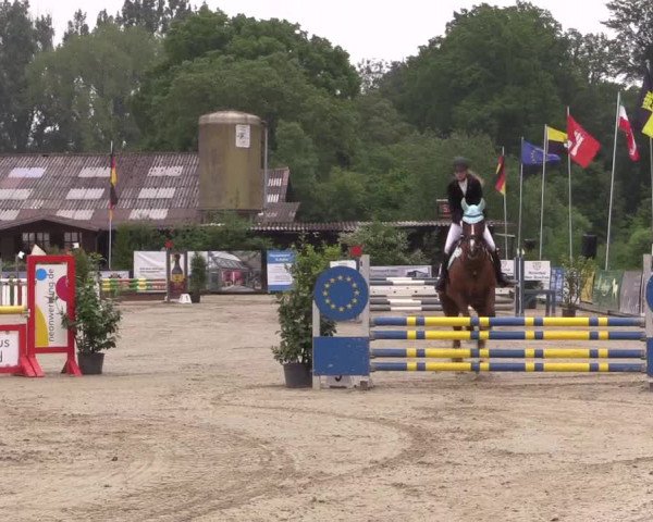 Reitturnier Bissendorf - Gut Stockum 2016