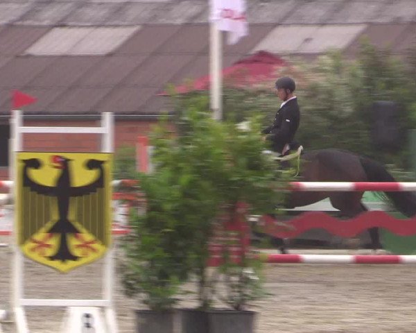 Reitturnier Bissendorf - Gut Stockum 2016