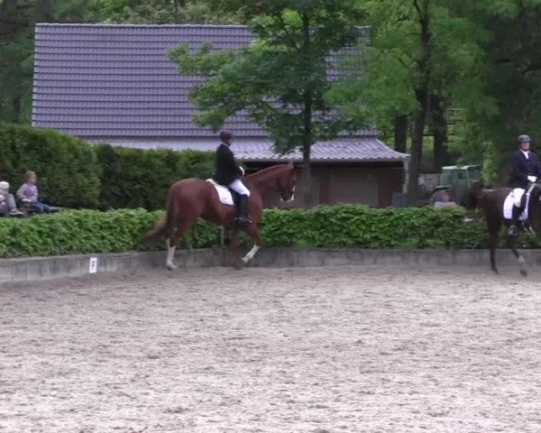 Reitturnier Kierspe-Hohenholten 2016
