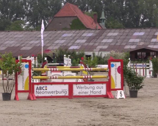 Reitturnier Bissendorf - Gut Stockum 2016