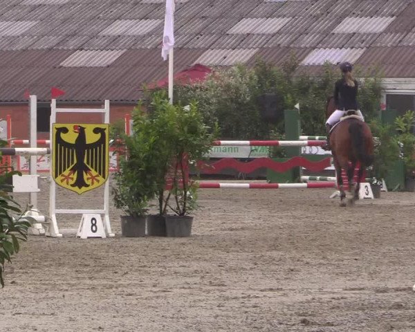 Reitturnier Bissendorf - Gut Stockum 2016