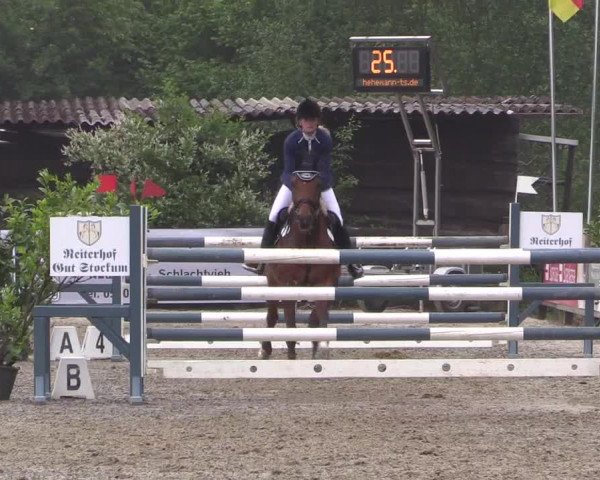 Reitturnier Bissendorf - Gut Stockum 2016