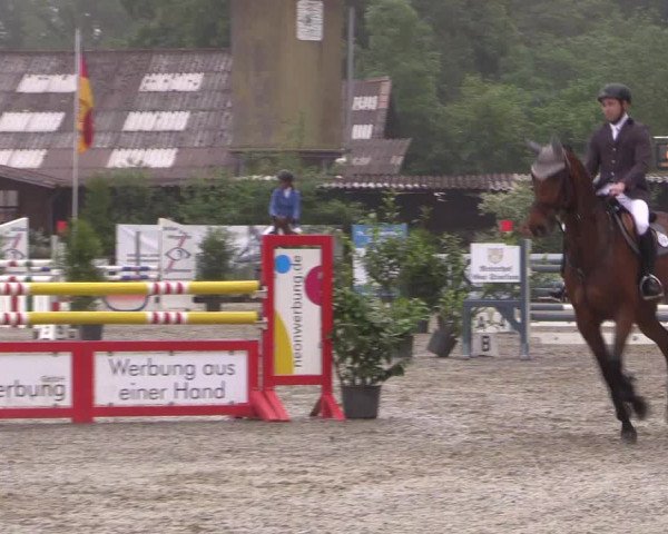 Reitturnier Bissendorf - Gut Stockum 2016