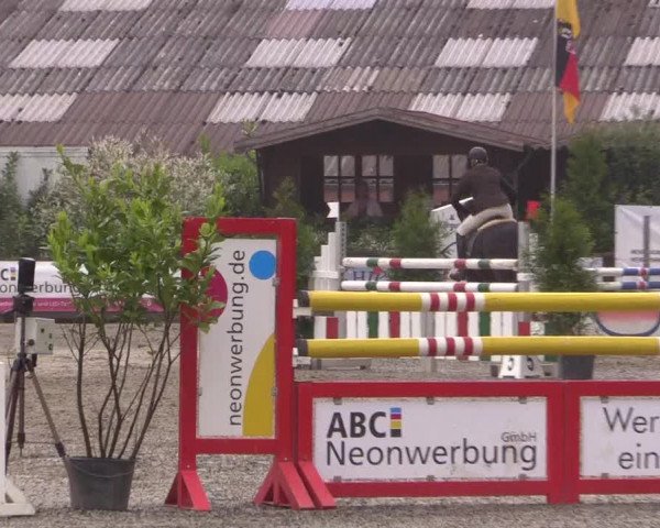 Reitturnier Bissendorf - Gut Stockum 2016