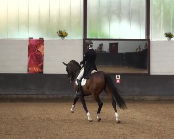Reitturnier Kierspe-Hohenholten 2016