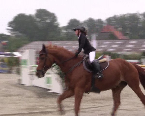 Reitturnier Bissendorf - Gut Stockum 2016