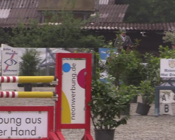 Reitturnier Bissendorf - Gut Stockum 2016