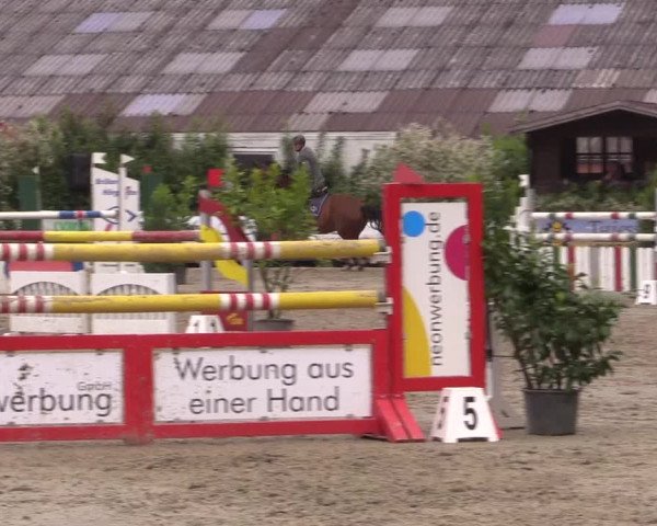 Reitturnier Bissendorf - Gut Stockum 2016
