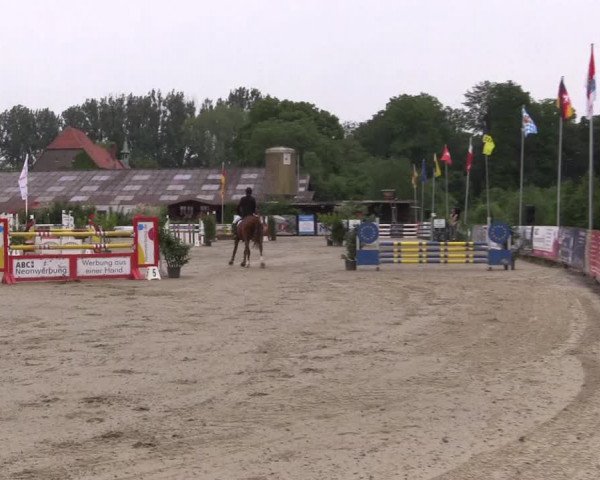 Reitturnier Bissendorf - Gut Stockum 2016