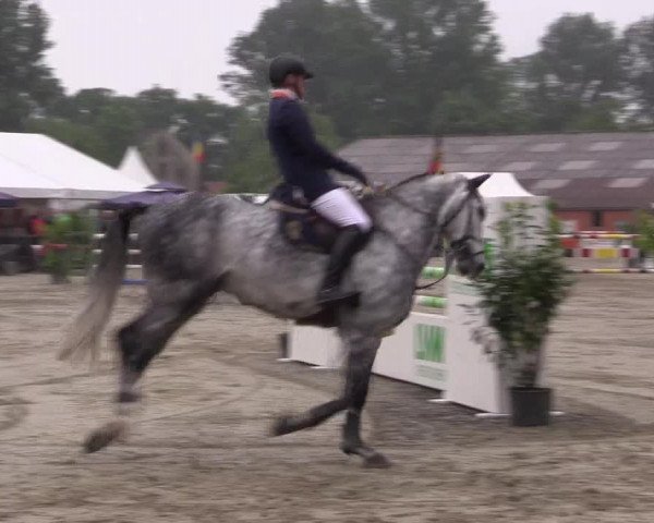 Reitturnier Bissendorf - Gut Stockum 2016
