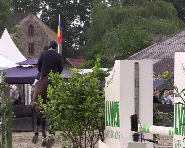 Reitturnier Bissendorf - Gut Stockum 2016