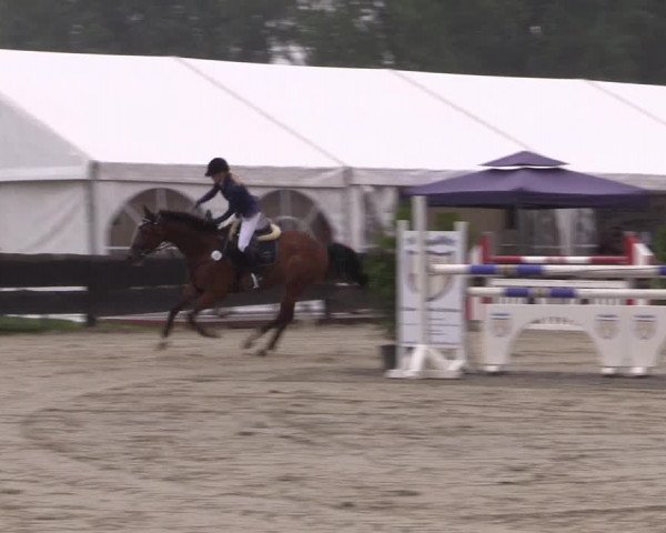 Reitturnier Bissendorf - Gut Stockum 2016