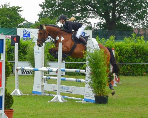 jumper Mogli M (Saxony-Anhaltiner, 2002, from Mr. Mc)