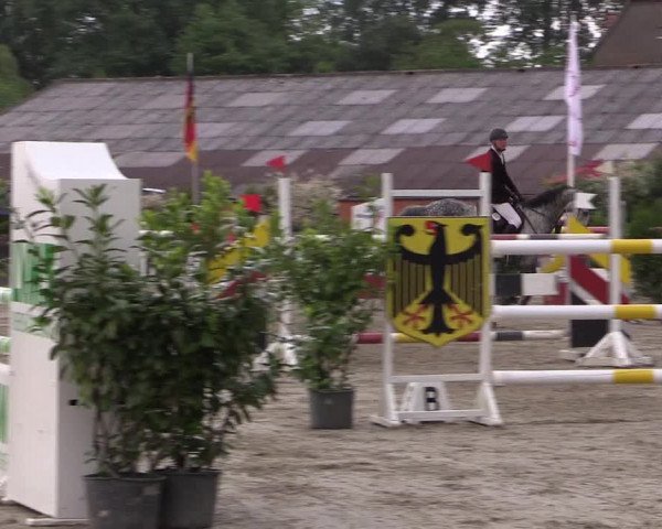 Reitturnier Bissendorf - Gut Stockum 2016