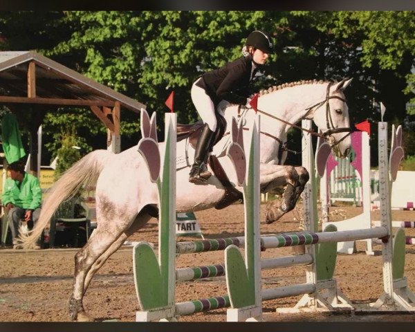 Springpferd Le Filou 30 (Holsteiner, 2009, von Loran)