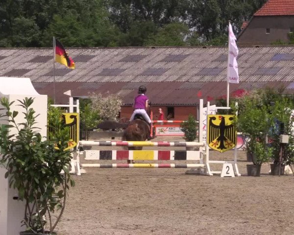 Reitturnier Bissendorf - Gut Stockum 2016