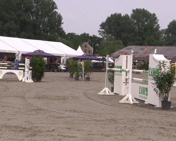 Reitturnier Bissendorf - Gut Stockum 2016