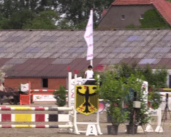 Reitturnier Bissendorf - Gut Stockum 2016