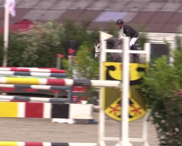 Reitturnier Bissendorf - Gut Stockum 2016