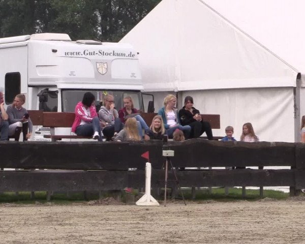 Reitturnier Bissendorf - Gut Stockum 2016