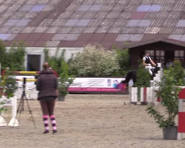 Reitturnier Bissendorf - Gut Stockum 2016