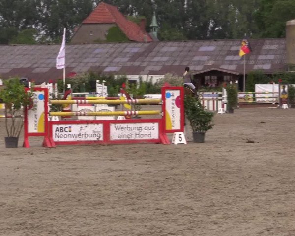 Reitturnier Bissendorf - Gut Stockum 2016