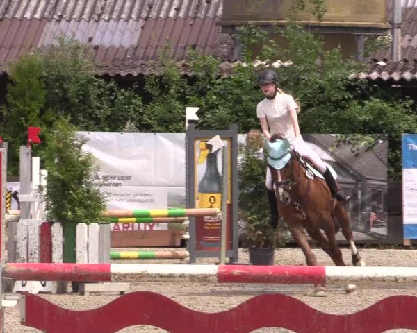Reitturnier Bissendorf - Gut Stockum 2016
