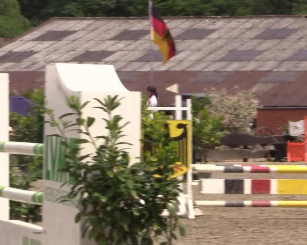 Reitturnier Bissendorf - Gut Stockum 2016
