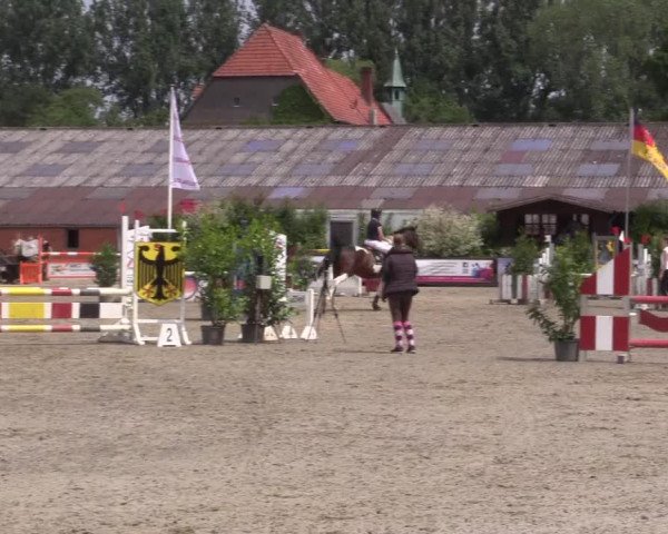 Reitturnier Bissendorf - Gut Stockum 2016