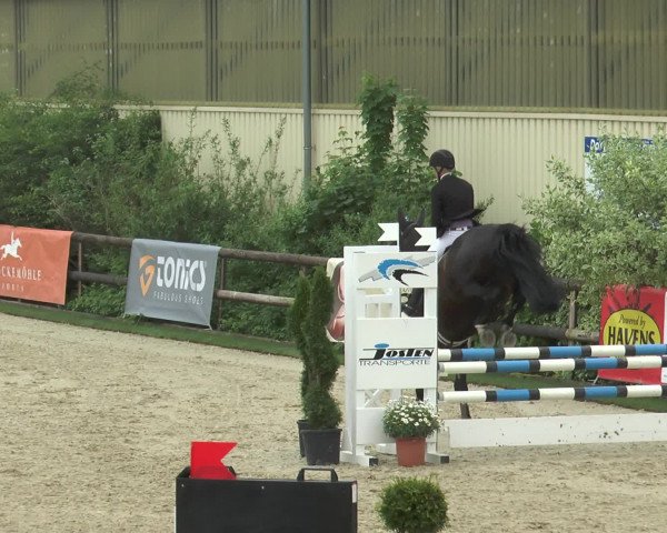 Reitturnier Kirchhellen/Stall Dieckmann 2016